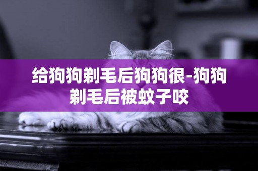 給狗狗剃毛后狗狗很-狗狗剃毛后被蚊子咬