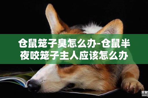倉鼠籠子臭怎么辦-倉鼠半夜咬籠子主人應該怎么辦