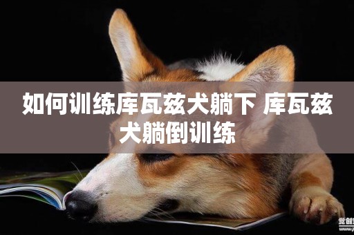如何訓練庫瓦茲犬躺下 庫瓦茲犬躺倒訓練