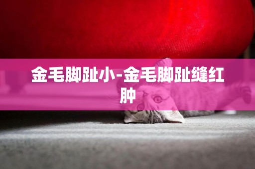 金毛腳趾小-金毛腳趾縫紅腫