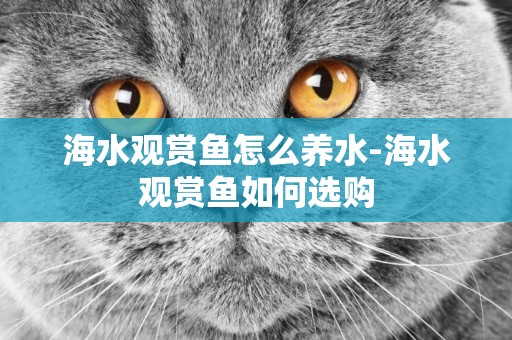 海水觀賞魚怎么養水-海水觀賞魚如何選購