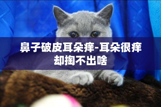 鼻子破皮耳朵癢-耳朵很癢卻掏不出啥
