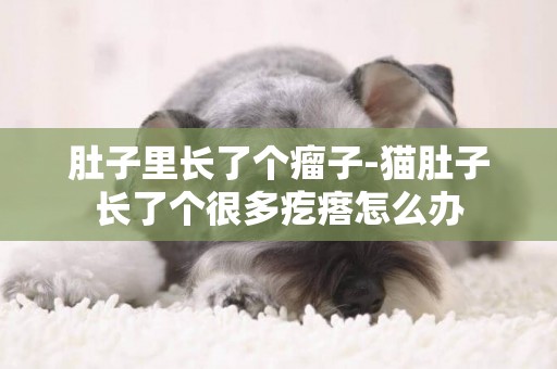 肚子里長了個瘤子-貓肚子長了個很多疙瘩怎么辦