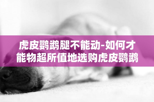 虎皮鸚鵡腿不能動-如何才能物超所值地選購虎皮鸚鵡