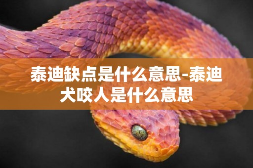 泰迪缺點是什么意思-泰迪犬咬人是什么意思