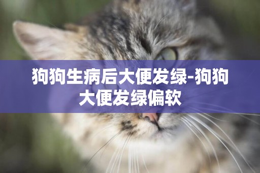 狗狗生病后大便發綠-狗狗大便發綠偏軟