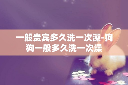 一般貴賓多久洗一次澡-狗狗一般多久洗一次澡