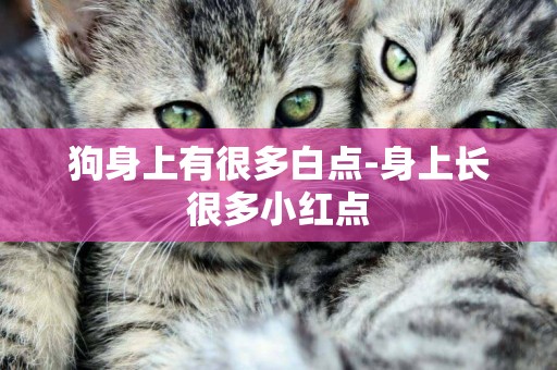 狗身上有很多白點-身上長很多小紅點