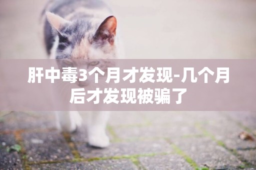 肝中毒3個月才發現-幾個月后才發現被騙了