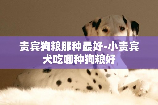貴賓狗糧那種最好-小貴賓犬吃哪種狗糧好