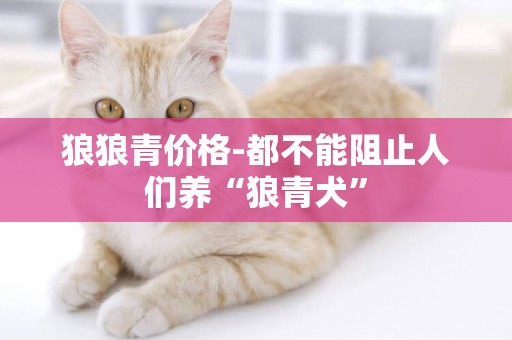 狼狼青價格-都不能阻止人們養“狼青犬”
