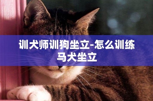 訓犬師訓狗坐立-怎么訓練馬犬坐立