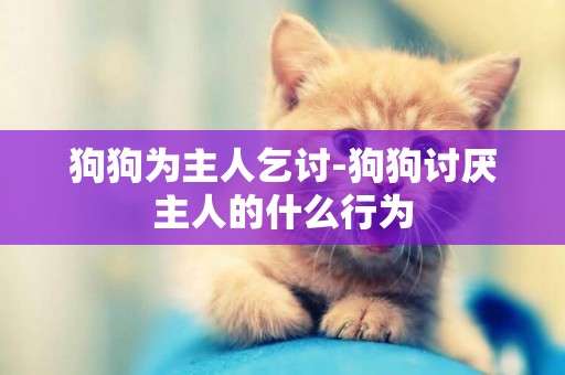 狗狗為主人乞討-狗狗討厭主人的什么行為