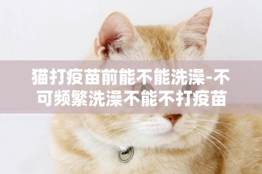 貓打疫苗前能不能洗澡-不可頻繁洗澡不能不打疫苗