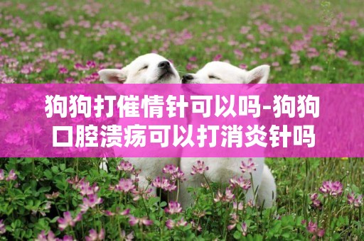 狗狗打催情針可以嗎-狗狗口腔潰瘍可以打消炎針嗎