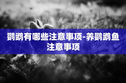 鸚鵡有哪些注意事項-養鸚鵡魚注意事項