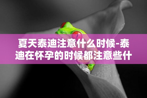 夏天泰迪注意什么時候-泰迪在懷孕的時候都注意些什么吃什么