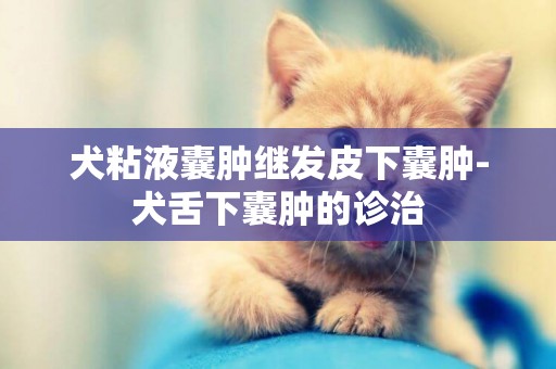 犬粘液囊腫繼發皮下囊腫-犬舌下囊腫的診治