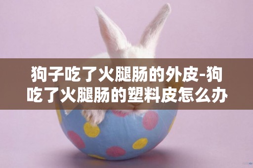 狗子吃了火腿腸的外皮-狗吃了火腿腸的塑料皮怎么辦