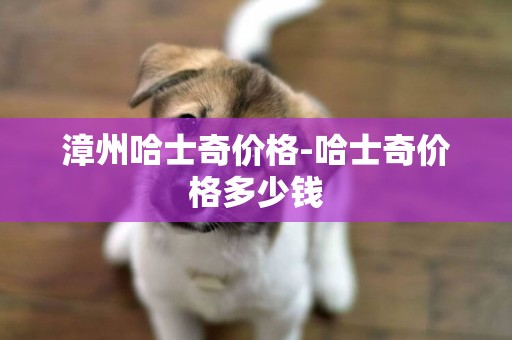 漳州哈士奇價格-哈士奇價格多少錢