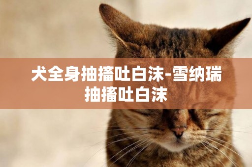 犬全身抽搐吐白沫-雪納瑞抽搐吐白沫
