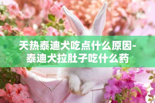 天熱泰迪犬吃點什么原因-泰迪犬拉肚子吃什么藥