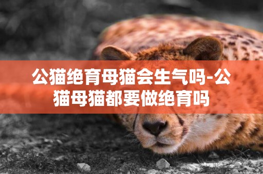 公貓絕育母貓會生氣嗎-公貓母貓都要做絕育嗎