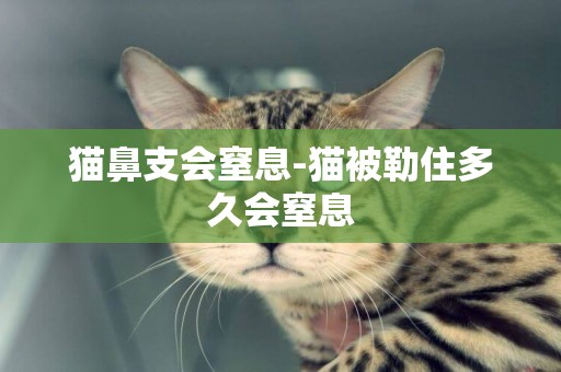 貓鼻支會窒息-貓被勒住多久會窒息