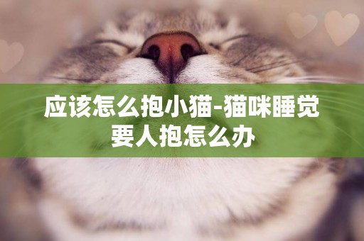 應該怎么抱小貓-貓咪睡覺要人抱怎么辦