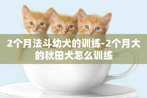 2個月法斗幼犬的訓練-2個月大的秋田犬怎么訓練