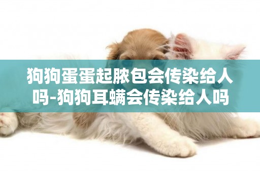 狗狗蛋蛋起膿包會傳染給人嗎-狗狗耳螨會傳染給人嗎