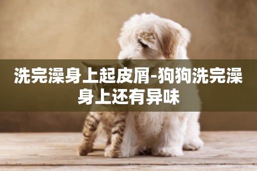 洗完澡身上起皮屑-狗狗洗完澡身上還有異味
