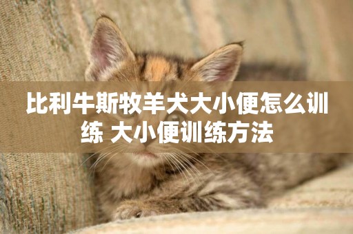 比利牛斯牧羊犬大小便怎么訓練 大小便訓練方法