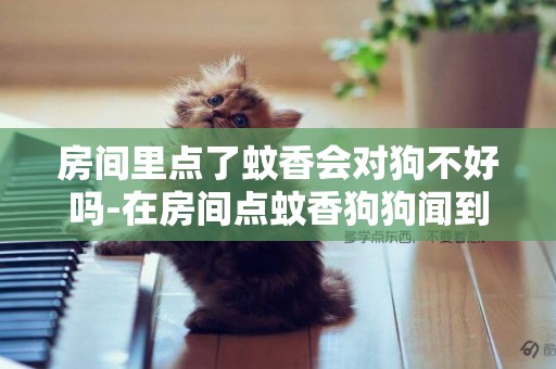 房間里點了蚊香會對狗不好嗎-在房間點蚊香狗狗聞到沒事吧