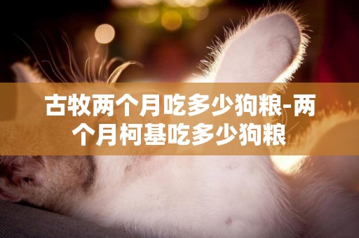古牧兩個月吃多少狗糧-兩個月柯基吃多少狗糧