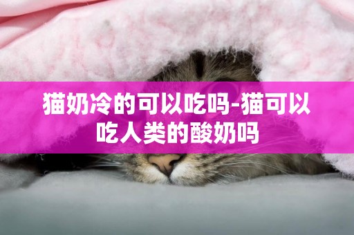 貓奶冷的可以吃嗎-貓可以吃人類的酸奶嗎
