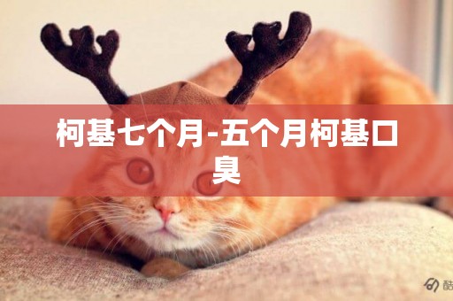 柯基七個月-五個月柯基口臭