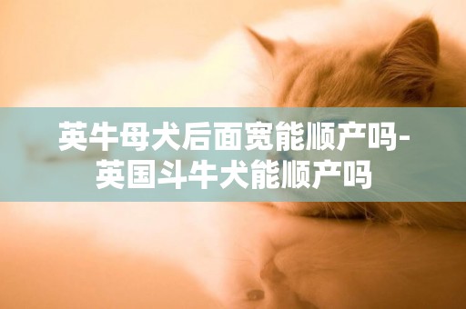 英牛母犬后面寬能順產嗎-英國斗牛犬能順產嗎