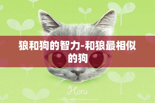 狼和狗的智力-和狼最相似的狗