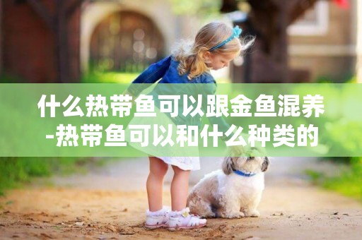 什么熱帶魚可以跟金魚混養-熱帶魚可以和什么種類的觀賞魚混養