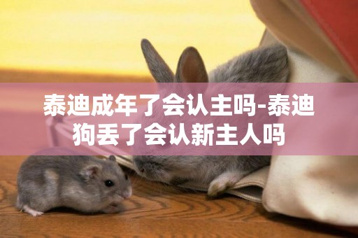 泰迪成年了會認主嗎-泰迪狗丟了會認新主人嗎
