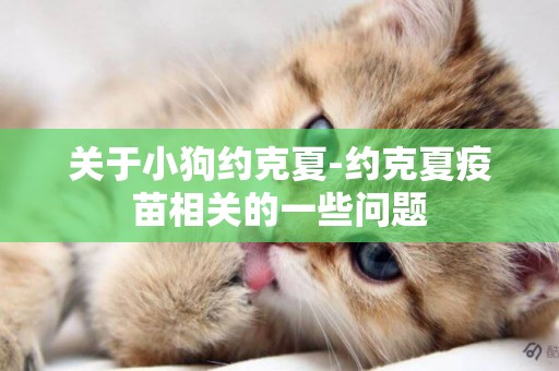 關于小狗約克夏-約克夏疫苗相關的一些問題