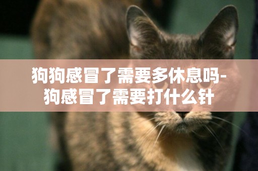 狗狗感冒了需要多休息嗎-狗感冒了需要打什么針