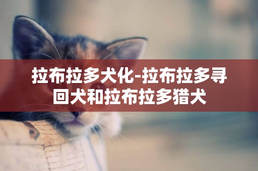 拉布拉多犬化-拉布拉多尋回犬和拉布拉多獵犬
