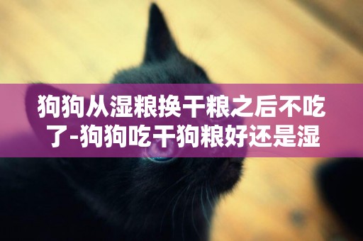 狗狗從濕糧換干糧之后不吃了-狗狗吃干狗糧好還是濕狗糧好