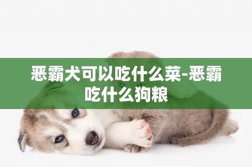 惡霸犬可以吃什么菜-惡霸吃什么狗糧