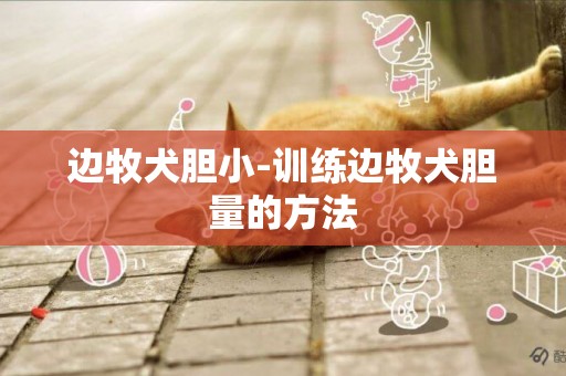 邊牧犬膽小-訓練邊牧犬膽量的方法