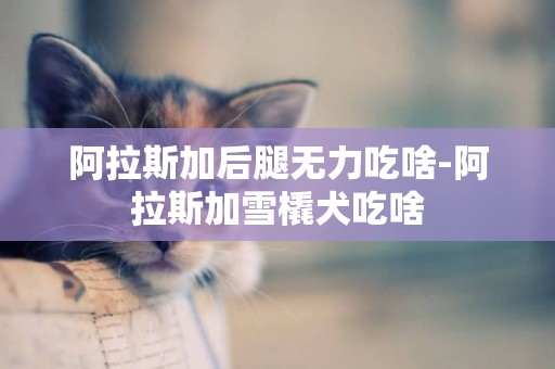 阿拉斯加后腿無力吃啥-阿拉斯加雪橇犬吃啥