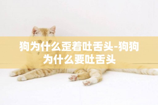 狗為什么歪著吐舌頭-狗狗為什么要吐舌頭