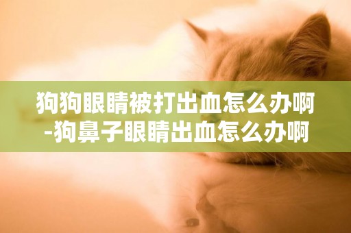 狗狗眼睛被打出血怎么辦啊-狗鼻子眼睛出血怎么辦啊